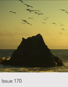 Cover Arlijo Issue 170