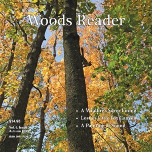fall coloured trees magazine cover for Woods Reader. Fall 2023.