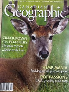 Canadian Geographic cover 1999 - deer